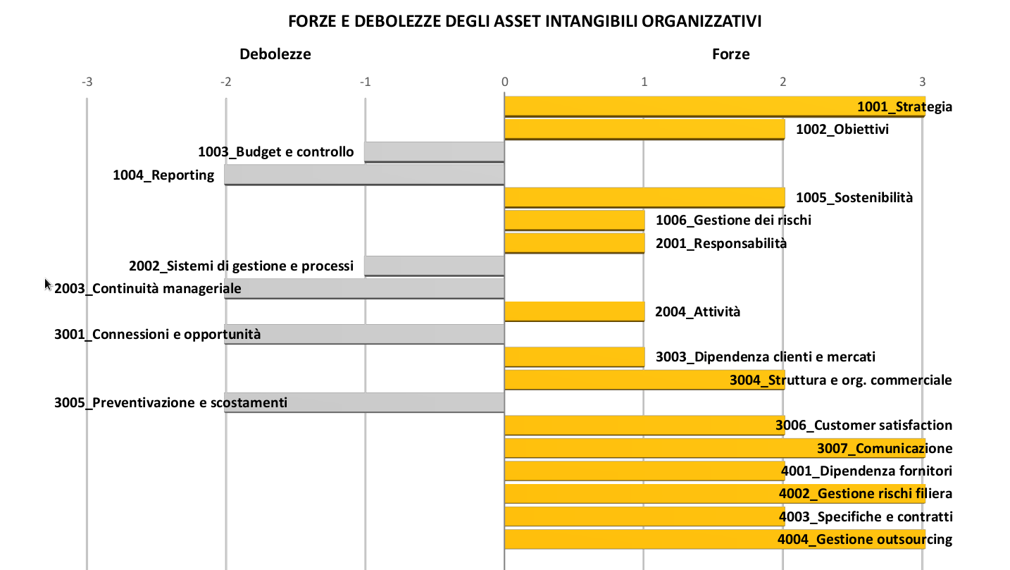 Il Report RiskOne Intangible - Il valore dell'organizzazione report1
